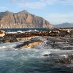 duiker island, south africa, nature, cape, town, ocean, wildlife, seals, beach, water, waves